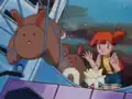 The Sentret's miscolored ears