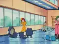 Poliwag's tails