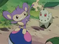 A Hot Water Battle