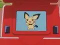 The Pokédex error