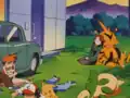 Bayleef's leaf error