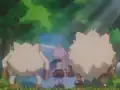 Mankey's missing tail