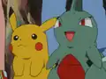 Larvitar's missing black markings