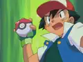 Totodile's Poké Ball