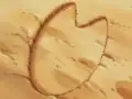 Footprints of Rhydon in Right On, Rhydon!