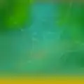 Bug