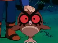 Hagatha's Hoothoot