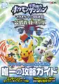 Official guidebook