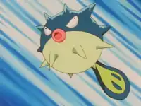 Harrison's Qwilfish