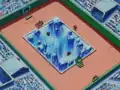 Ice Field