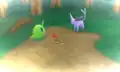 Inflora Forest flashback