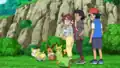 Eevee's tail covering Grookey