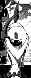Koya's Absol