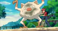 Lisa's Mankey