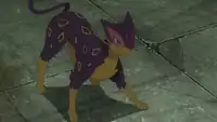 Lyla's Liepard