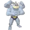 Bruno & Machamp