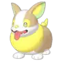 Sonia & Yamper