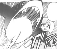 Matt's Sharpedo
