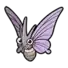 Venomoth