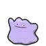 Ditto
