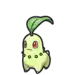 Chikorita