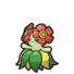 Bellossom
