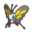 Beautifly
