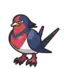 Swellow