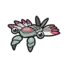Anorith