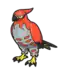 Talonflame