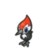 Pikipek