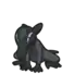Salandit