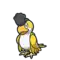 Squawkabilly