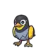 Wattrel