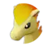 Ponyta