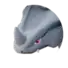 Rhyhorn