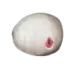 Silcoon
