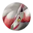 Zoroark