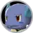 Wartortle