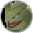 Tyranitar