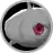 Silcoon