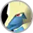 Manectric
