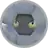 Shelgon