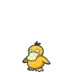 Psyduck