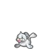 Seel