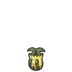 Sunkern