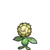 Sunflora