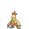 Combusken