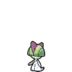 Ralts