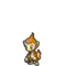 Chimchar